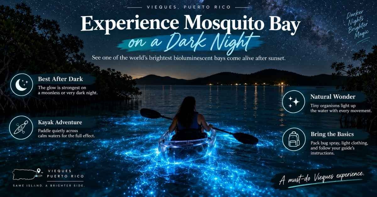Experience Mosquito Bay on a Dark Night