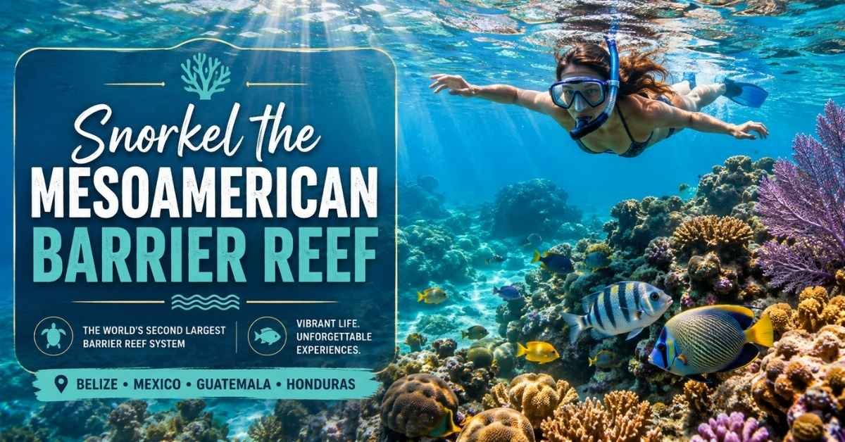 Snorkel the Mesoamerican Barrier Reef