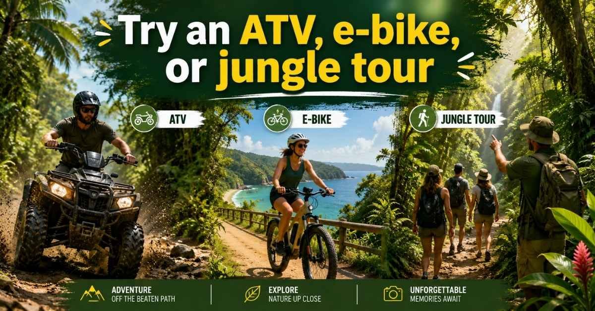 Try an ATV, e-bike, or jungle tour