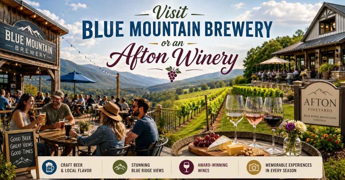 Visit Blue Mountain Brewery or an Afton Winery