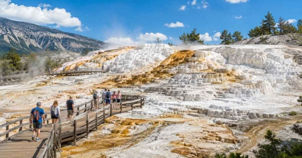 Walk the Terraces at Mammoth Hot Springs