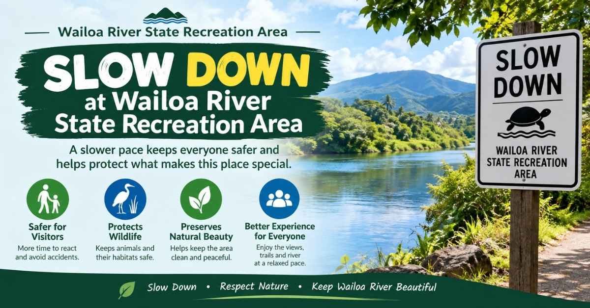 Slow Down at Wailoa River State Recreation Area